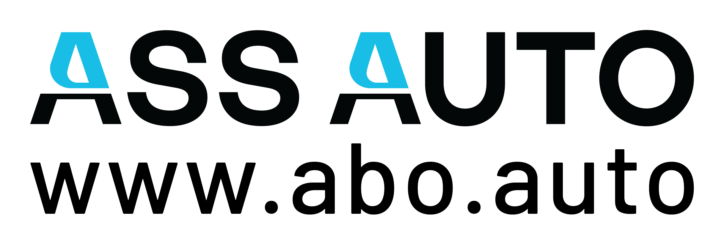 ass_auto_url-26-schwarz-cyan